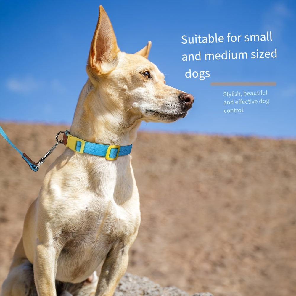 Stylish Dog Collar and Leash Set for Small to Medium Dogs