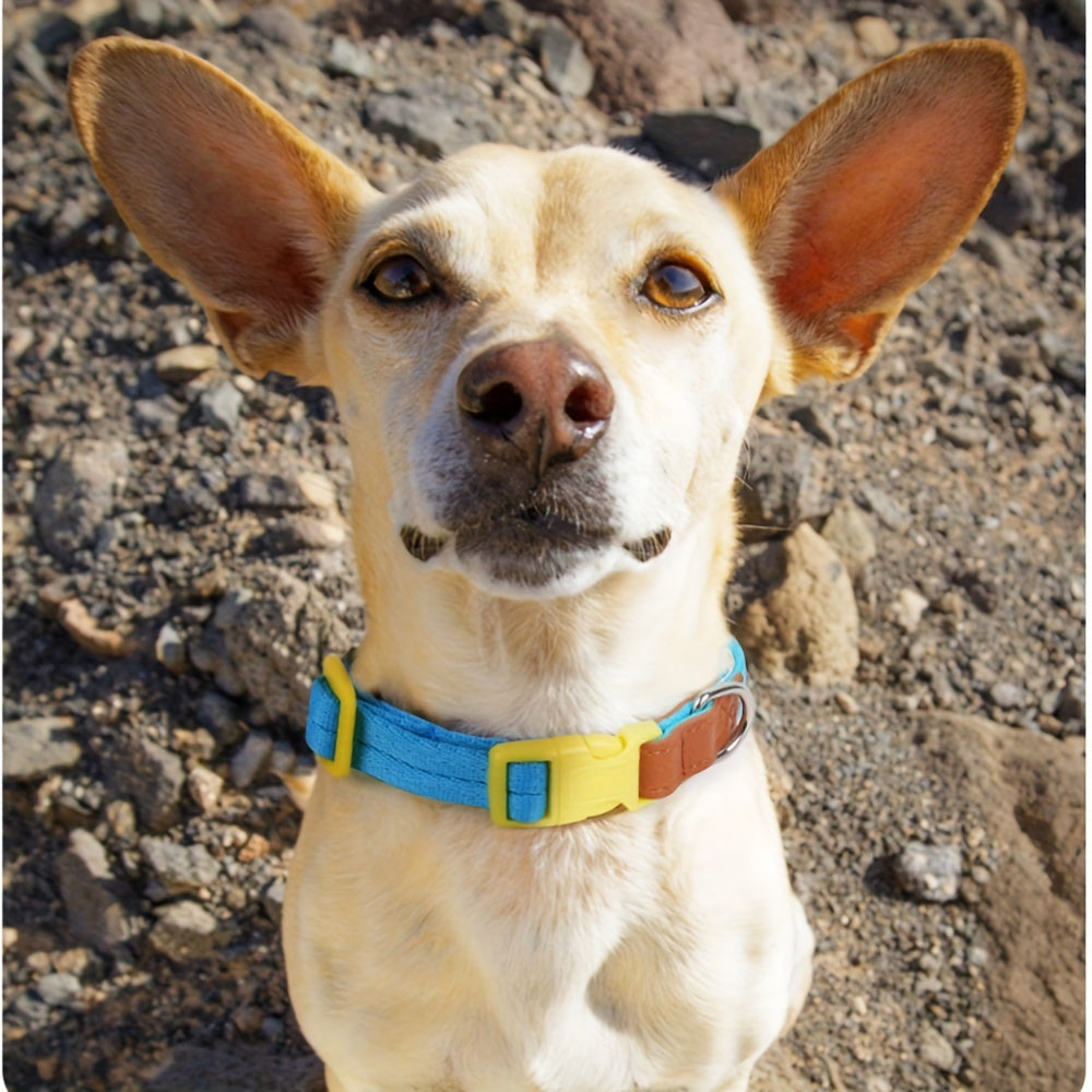 Stylish Dog Collar and Leash Set for Small to Medium Dogs