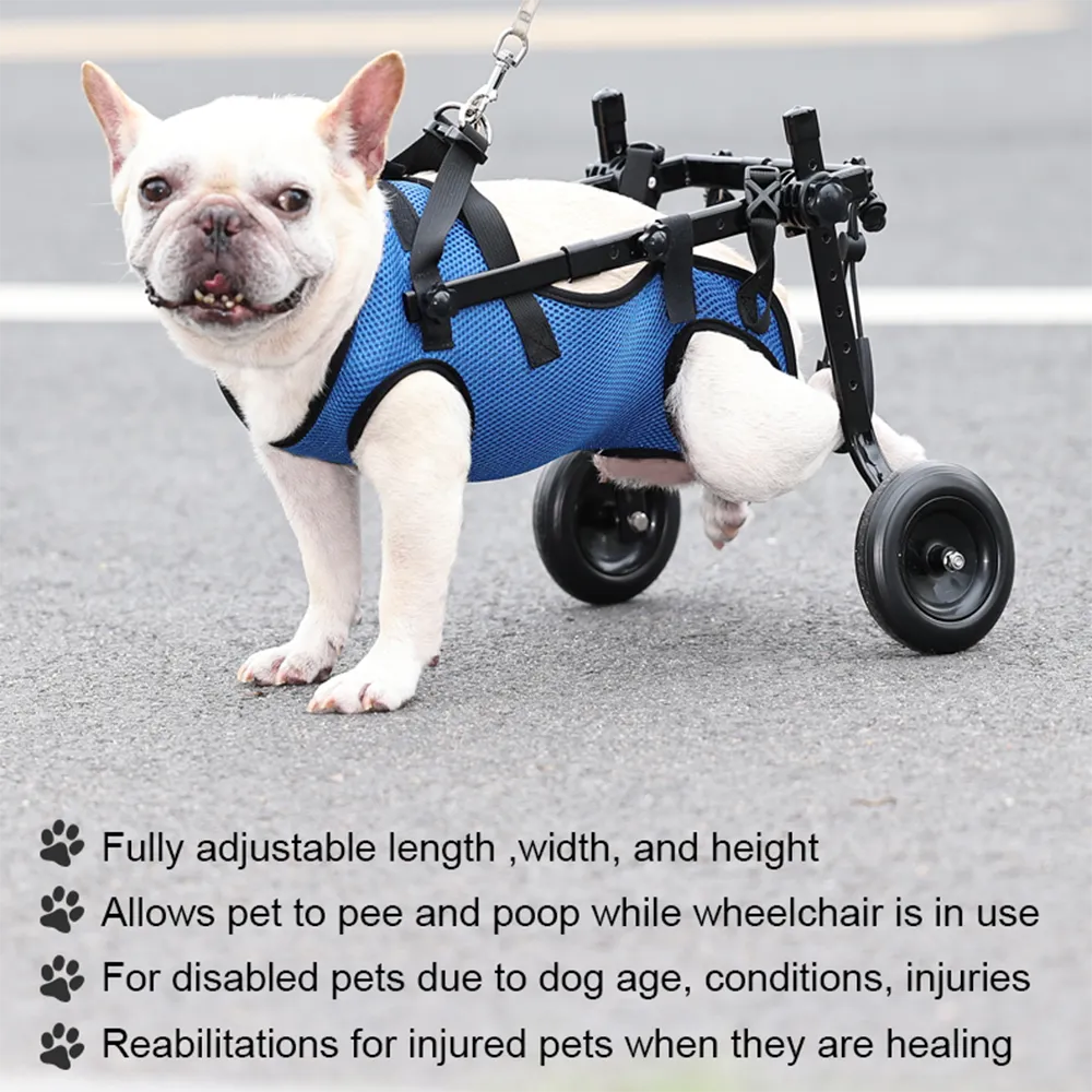 Adjustable Dog Wheelchair for Back Legs
