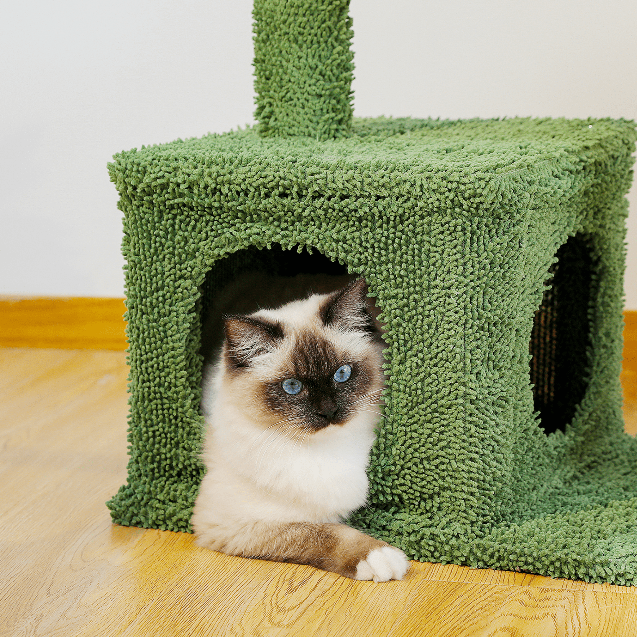 4-in-1 Cactus Cat Tree