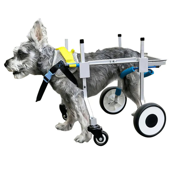 Adjustable 4-Wheel Dog Wheelchair