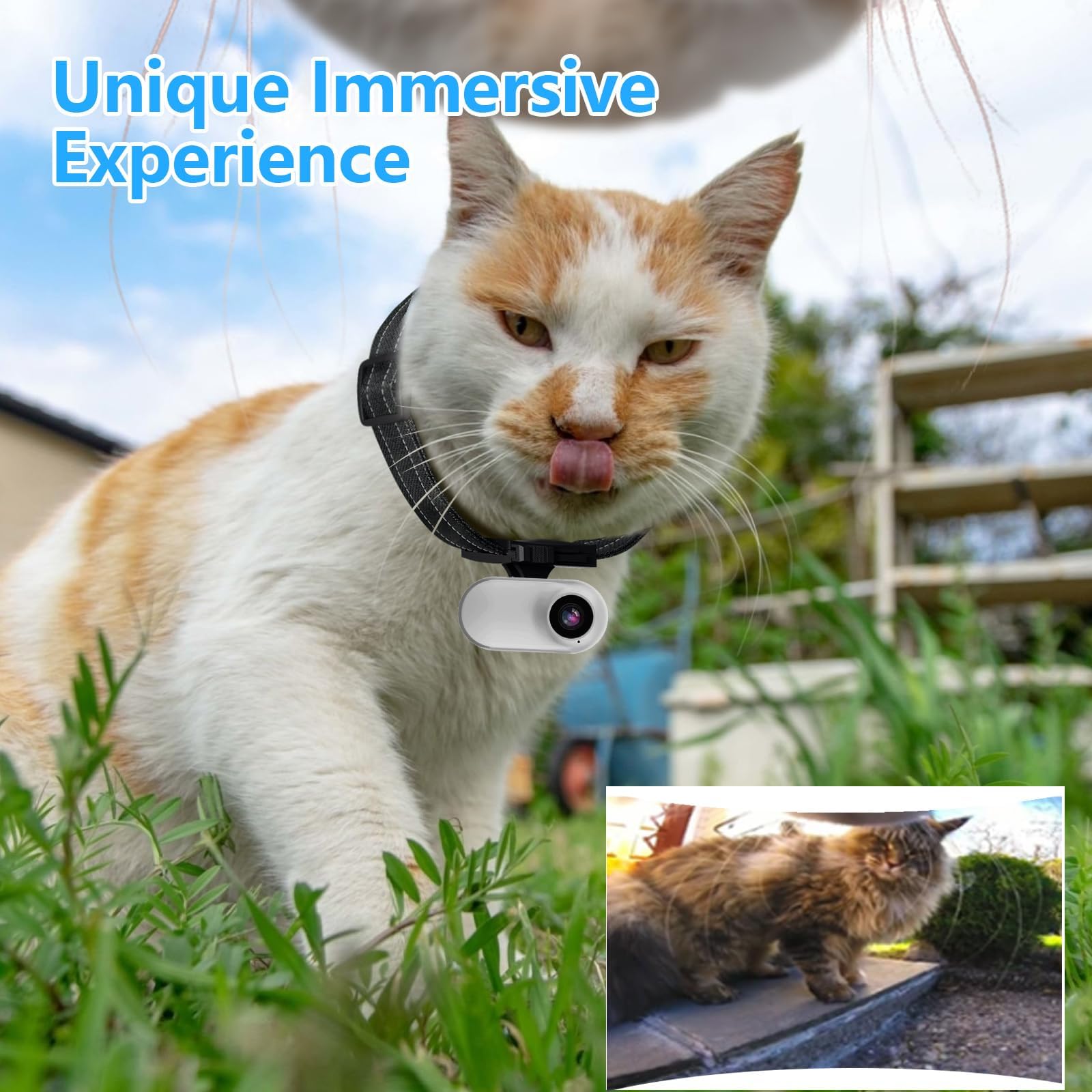 Pet Collar Camera for Cats and Dogs