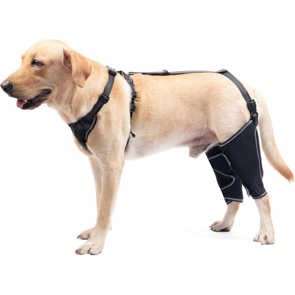 Dog Knee Brace for Torn ACL Hind Leg