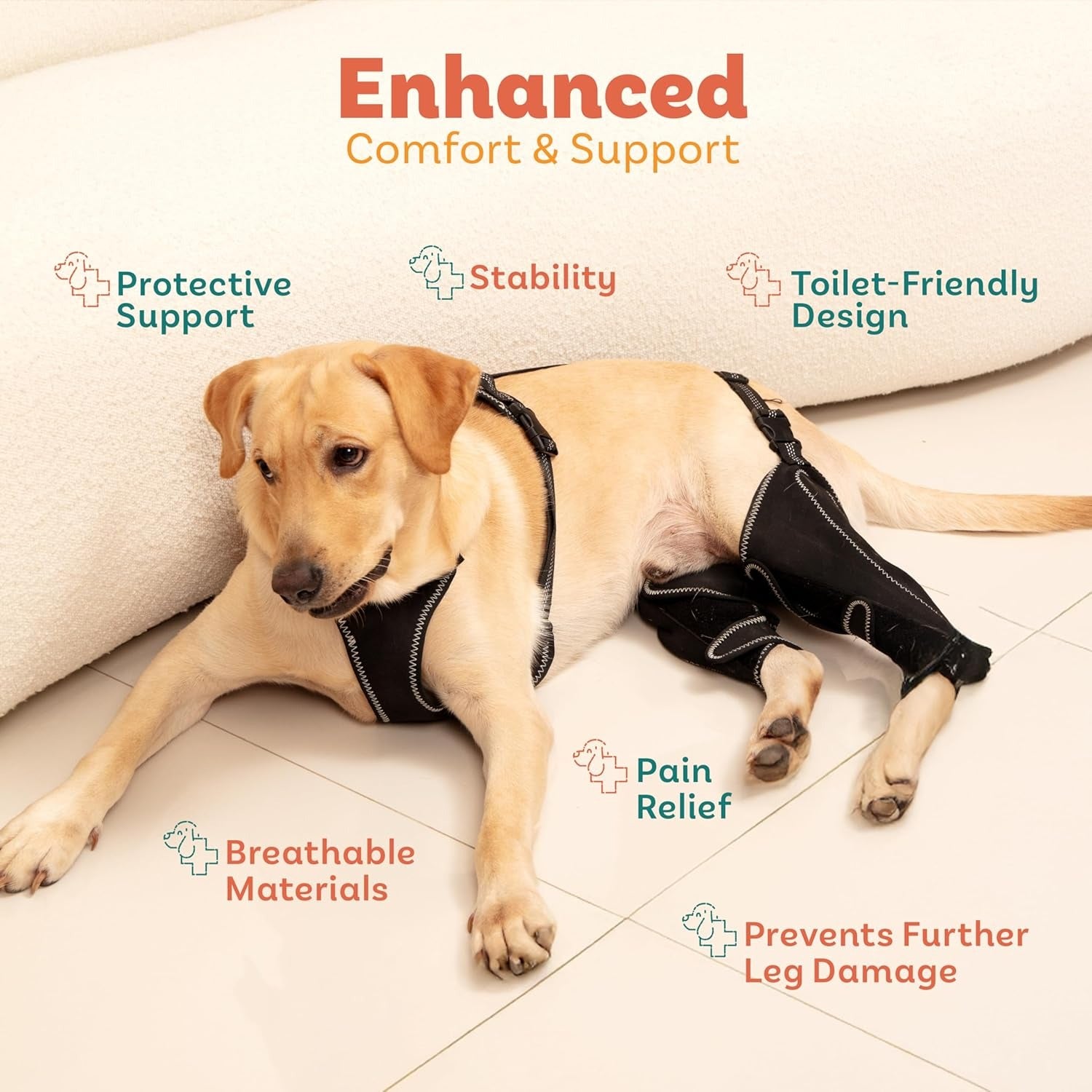 Dog Knee Brace for Torn ACL Hind Leg