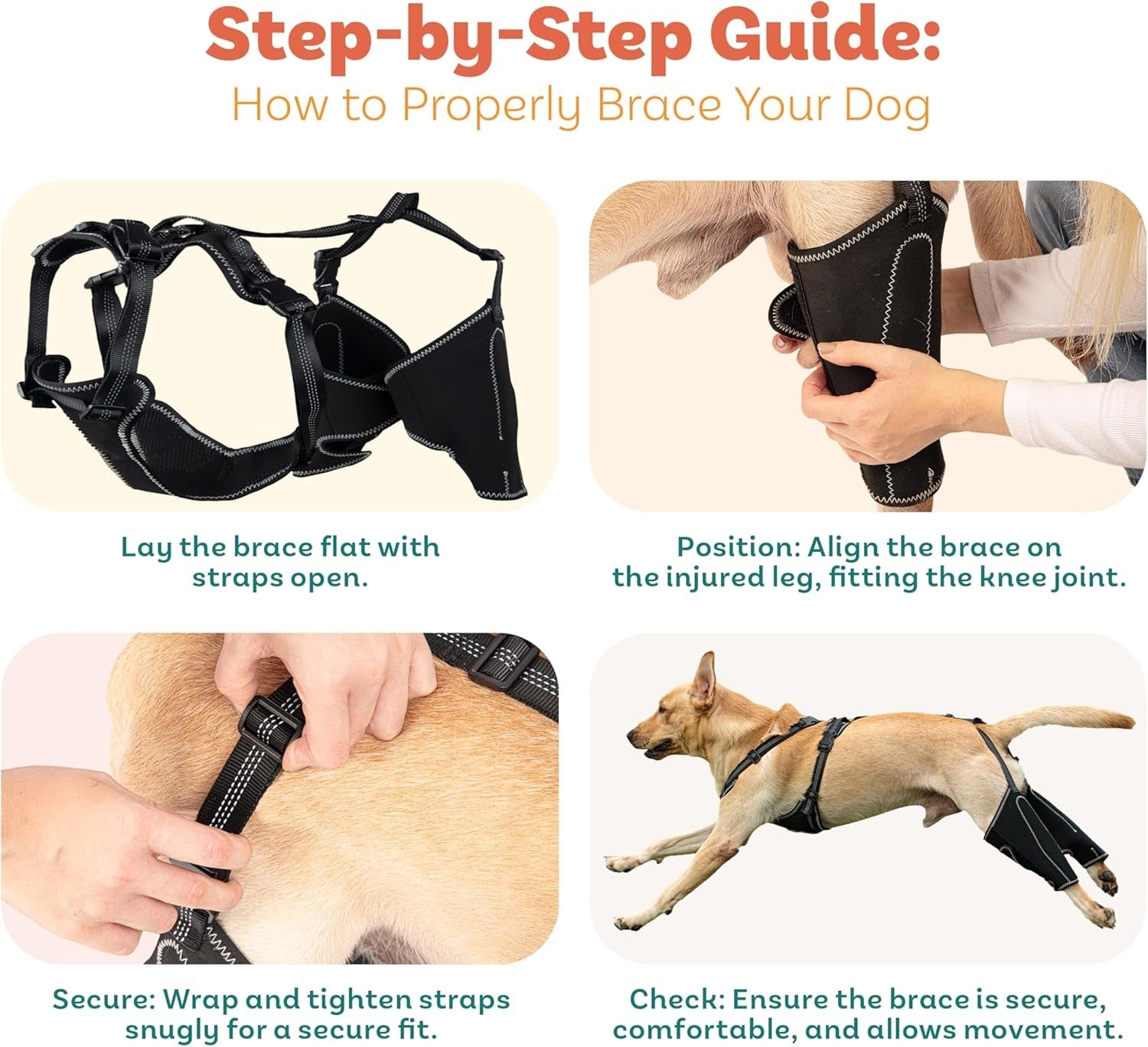 Dog Knee Brace for Torn ACL Hind Leg