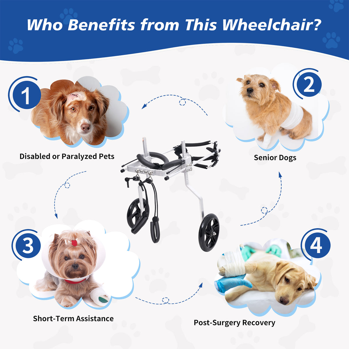 Pupelf Adjustable Lightweight Dog Wheelchair for Hind Leg Mobility ...