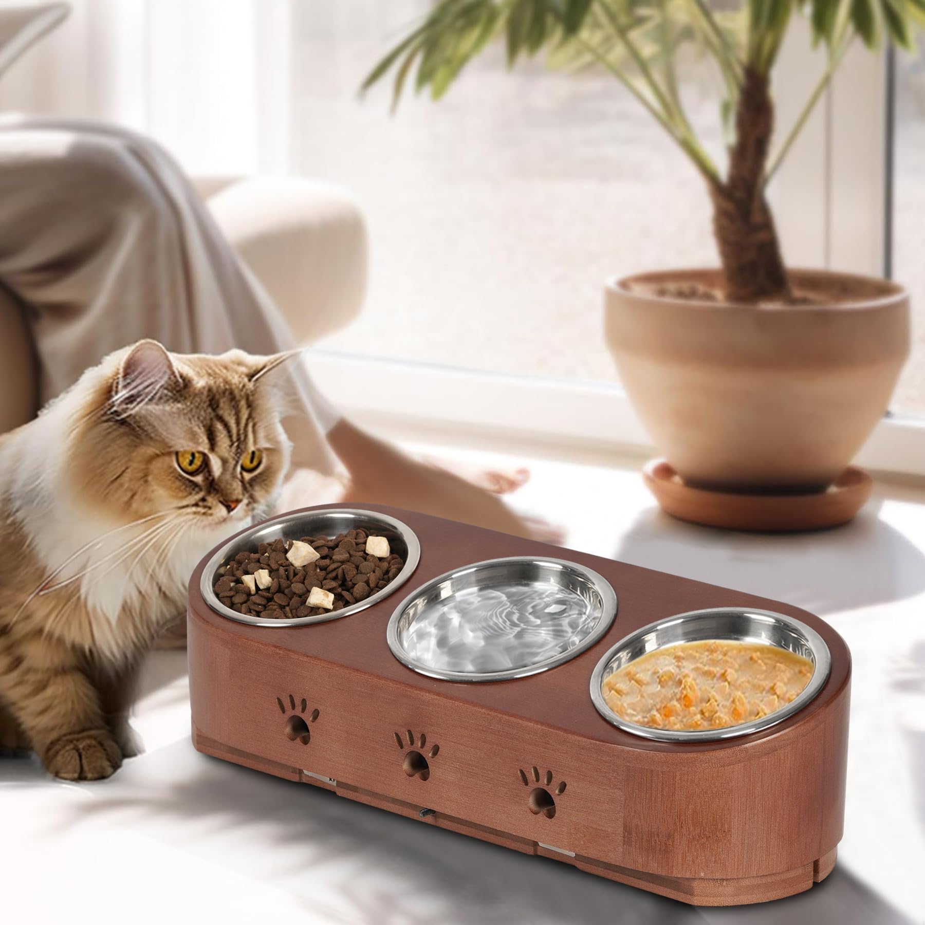 Elevated Cat Bowls - Adjustable Tilted Pet Feeder