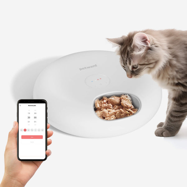 6-Meal Automatic Cat Feeder for Wet & Dry Food
