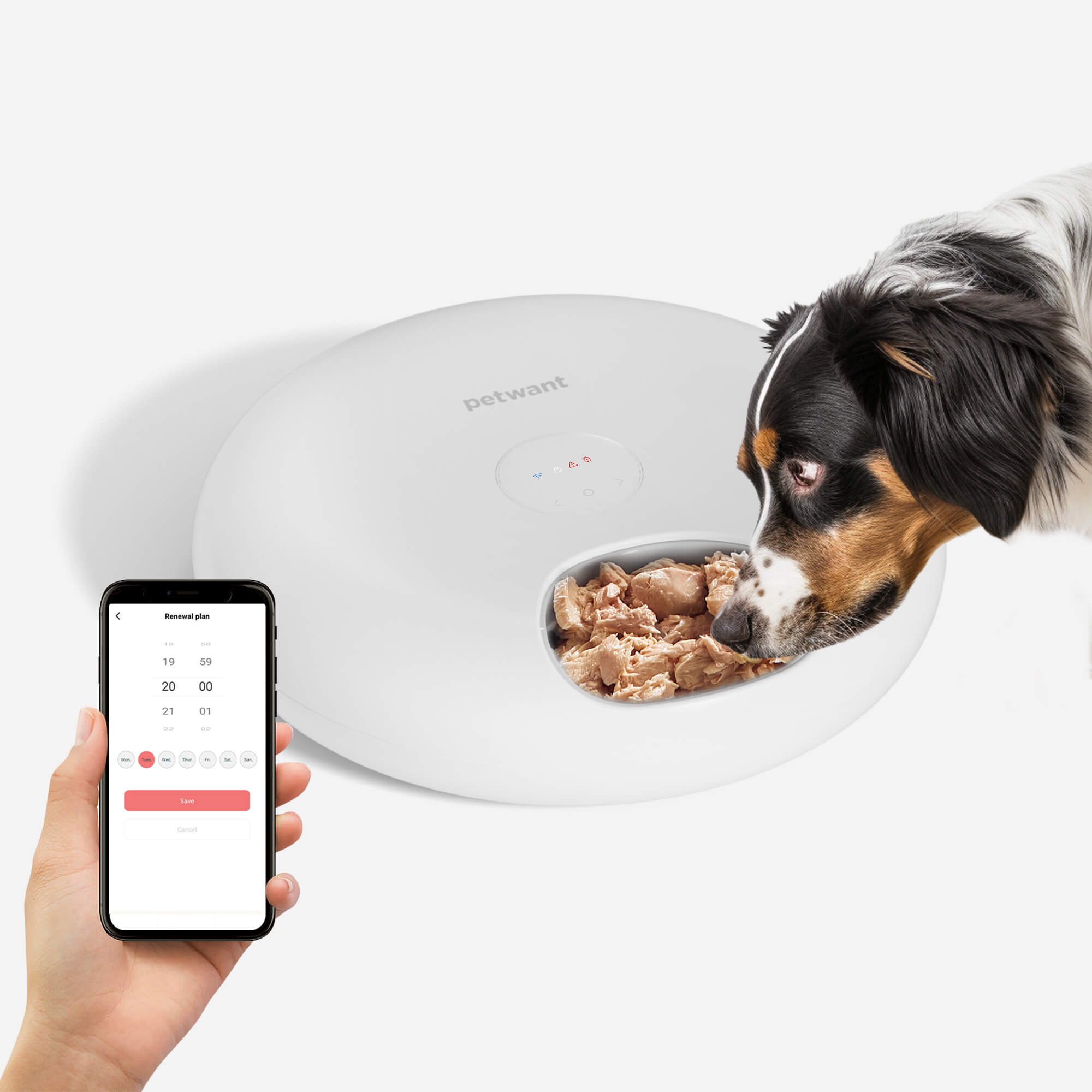 6-Meal Automatic Cat Feeder for Wet & Dry Food