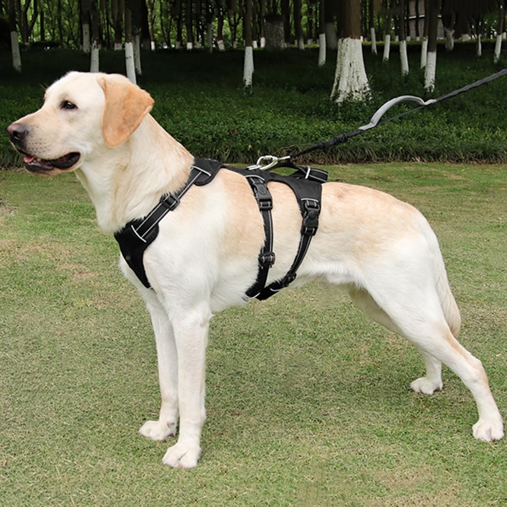 Escape-Proof Large Dog Harness