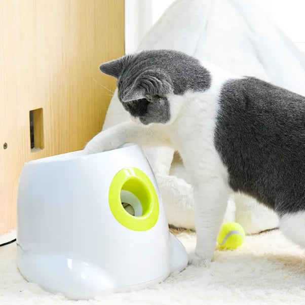 Tennis Ball Launcher