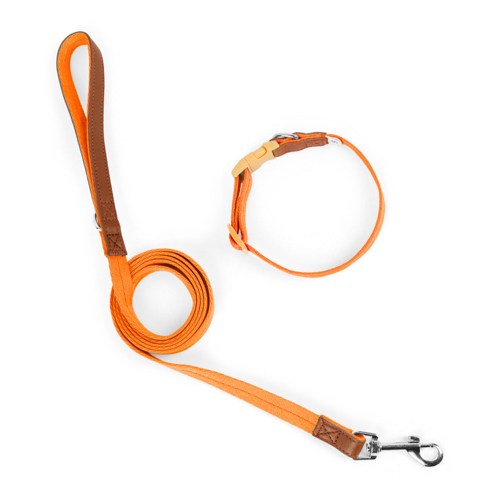 Stylish Dog Collar and Leash Set for Small to Medium Dogs