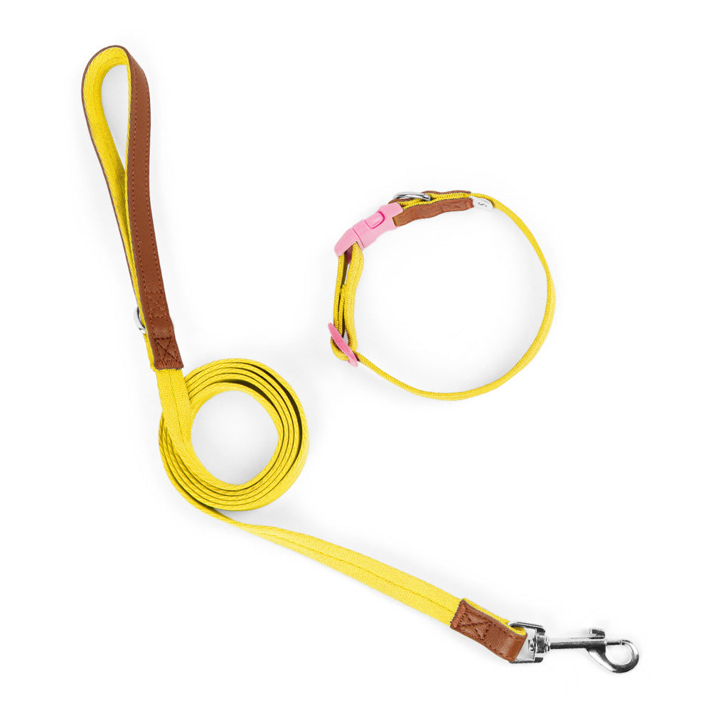 Stylish Dog Collar and Leash Set for Small to Medium Dogs