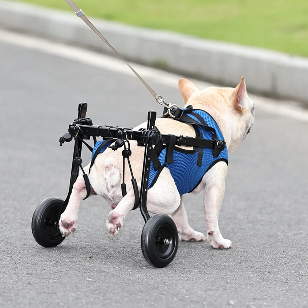 Adjustable Dog Wheelchair for Back Legs