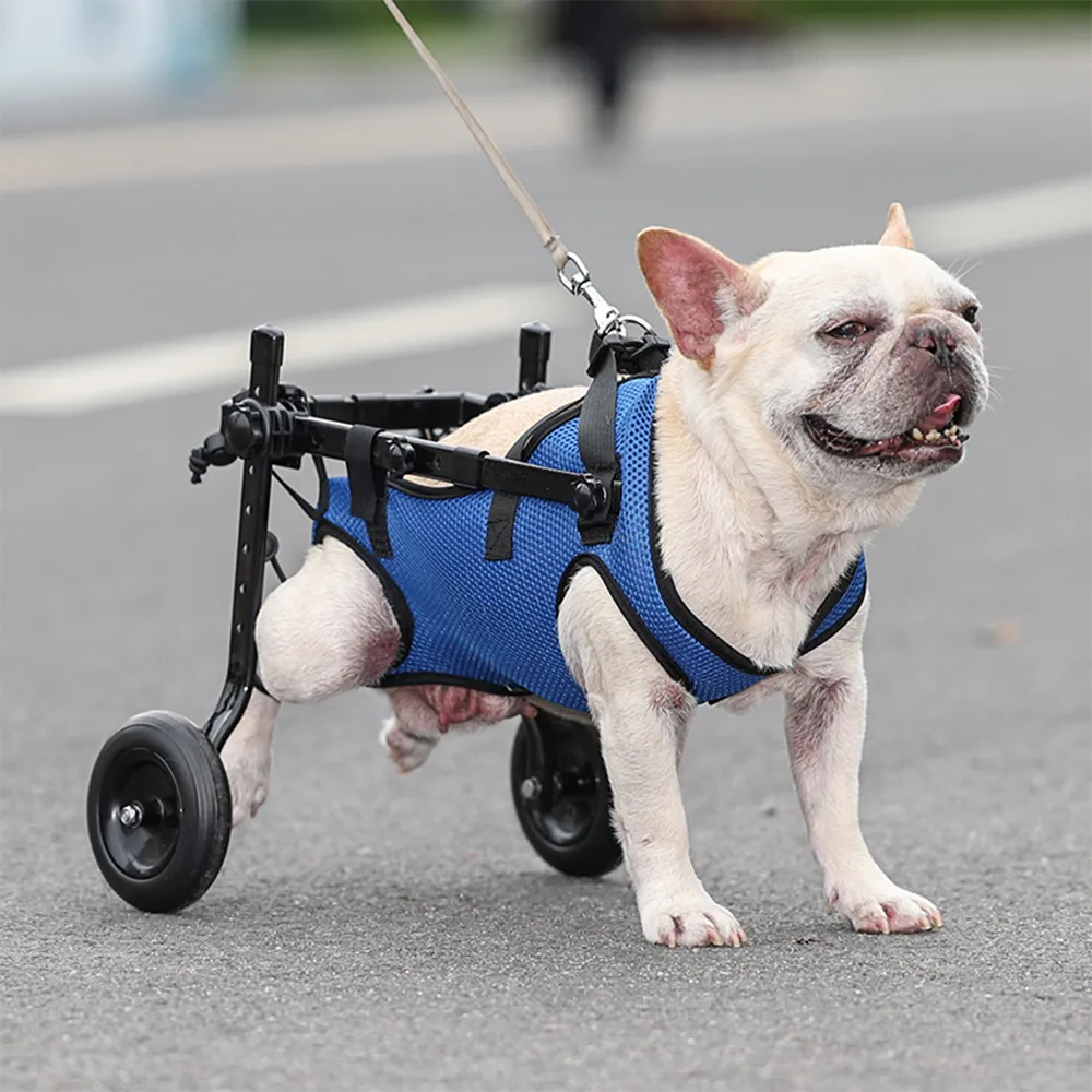 Adjustable Dog Wheelchair for Back Legs