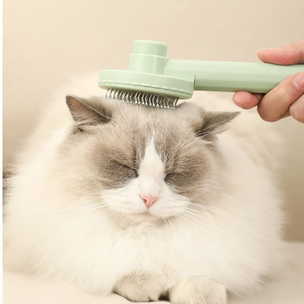 Professional Cat Brush