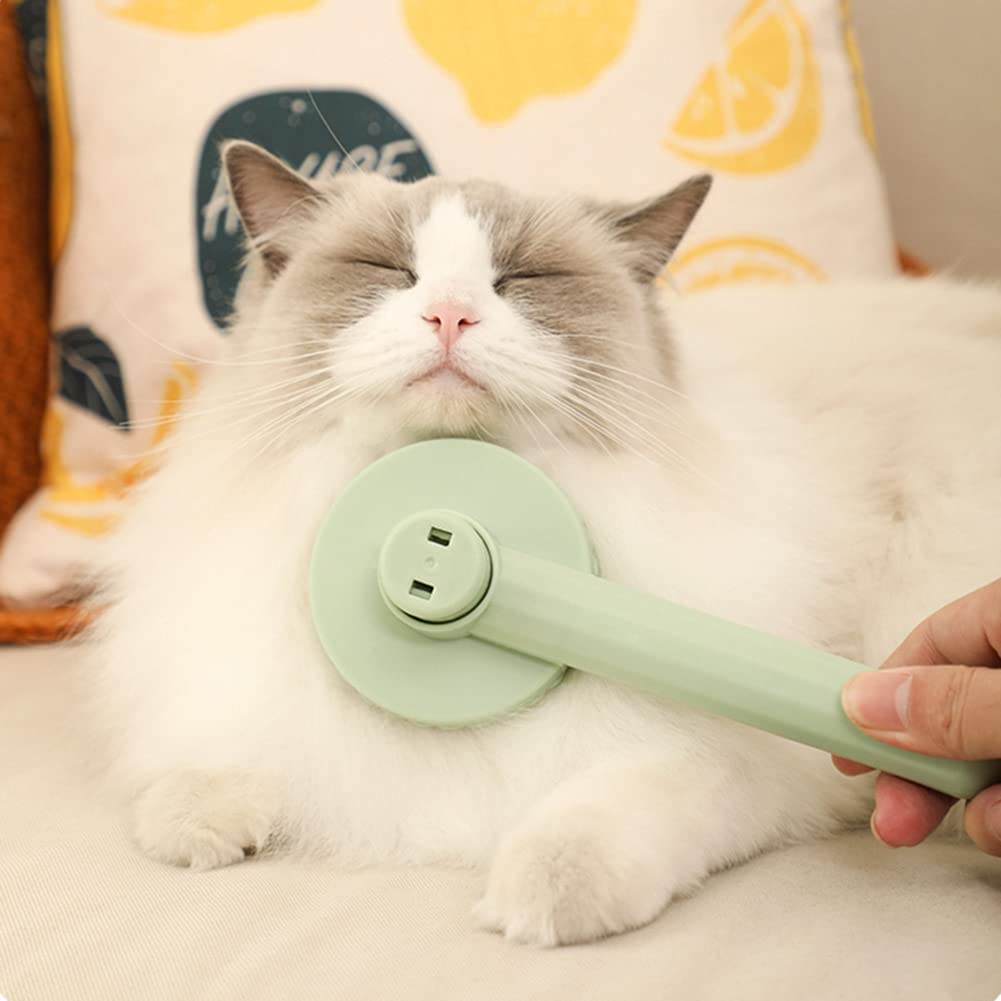Professional Cat Brush
