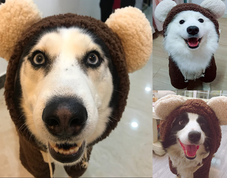 Bear costume for deals big dogs